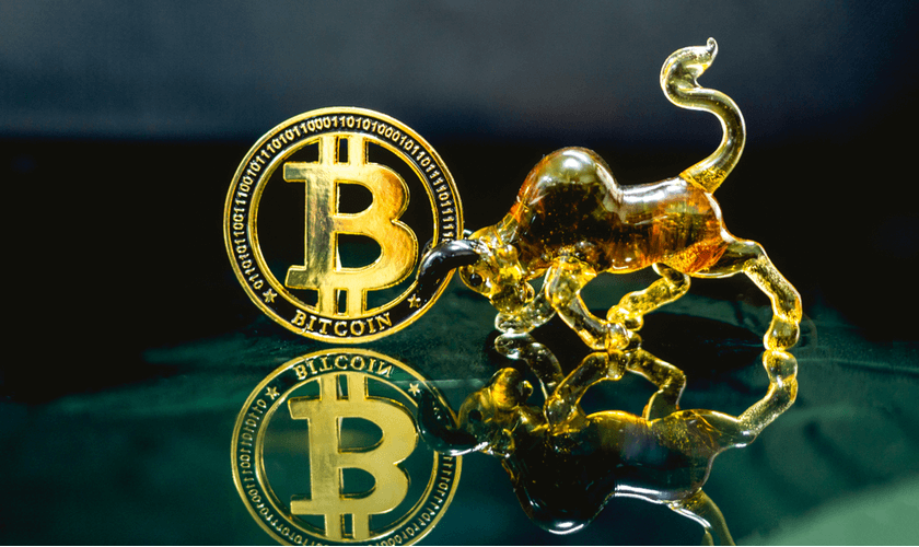 Milliardär Tim Draper erwartet weiterhin einen Anstieg des Bitcoins auf $250.000