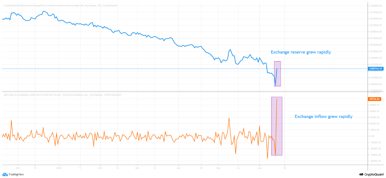 Tradingview CryptoQuant - Chart 16.06.22 - coin-update.de