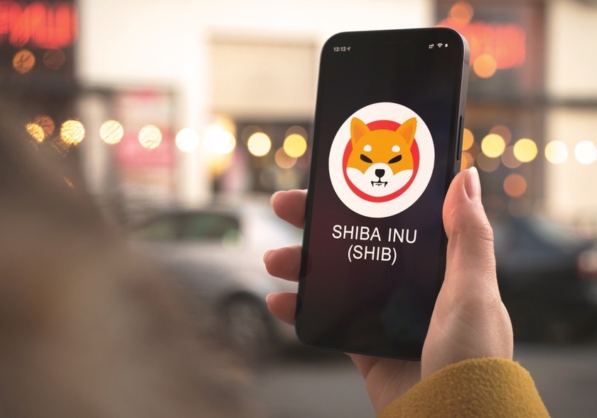 Trotz Ausverkauf verzeichnet Shiba Inu Gewinne – Wer kauft die Kryptowährung?