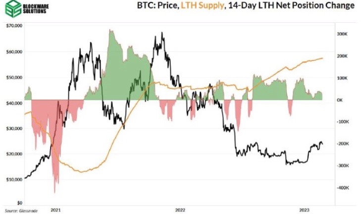 Les investisseurs à long terme ont acheté 18 000 bitcoins la semaine dernière - La Crypto Monnaie
