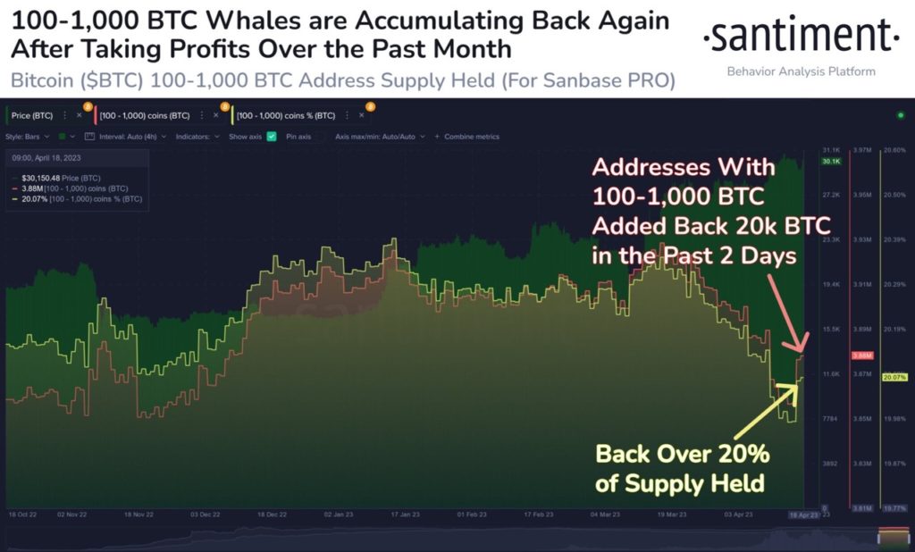 Les baleines Bitcoin achètent 20 000 bitcoins en seulement deux jours - La Crypto Monnaie