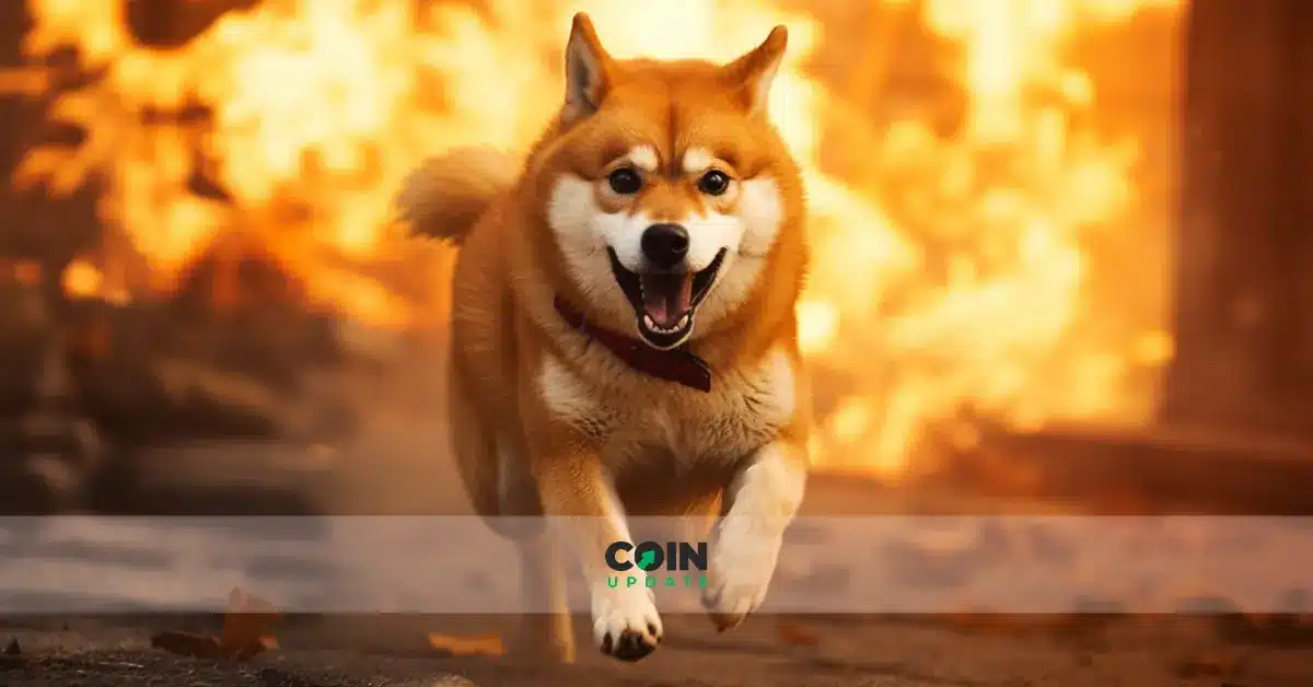 Die Burn-Rate von Shiba Inu steigt um weitere 420%
