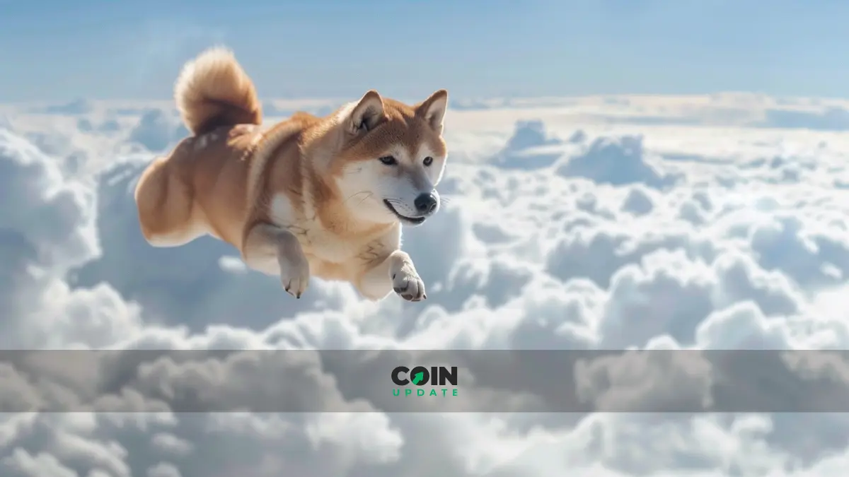 Dogecoin-Wale kaufen kräftig nach – Folgt ein Kursanstieg?