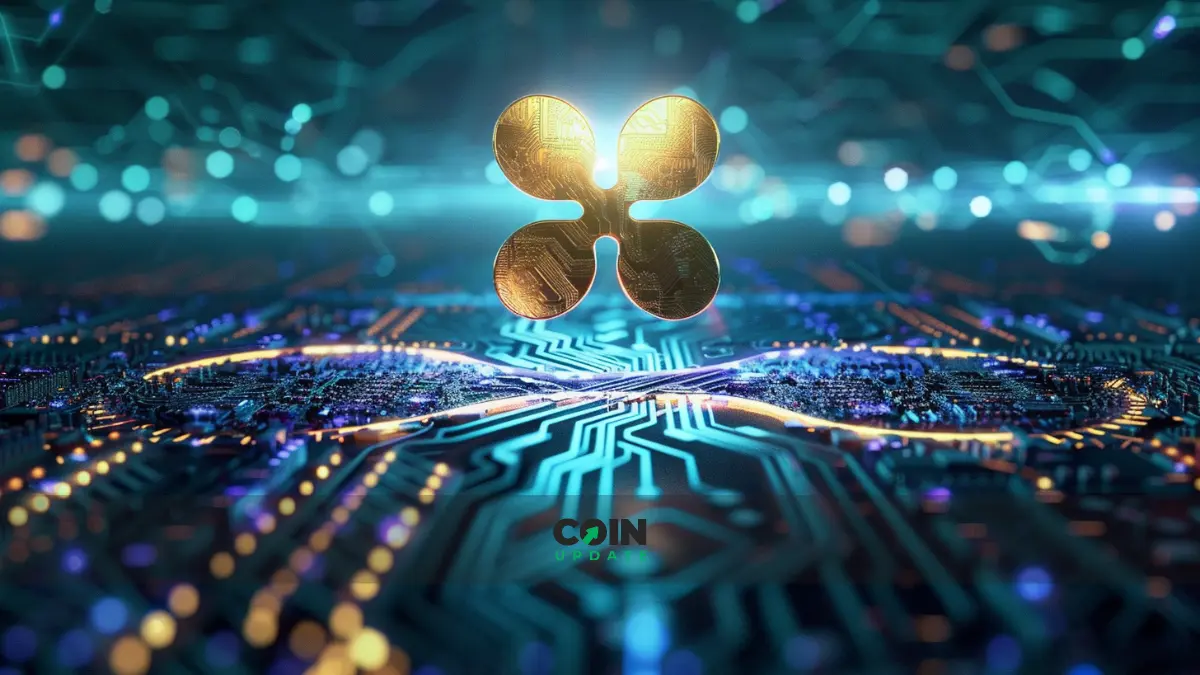 XRP im Aufschwung? Wale kaufen massiv auf Binance!