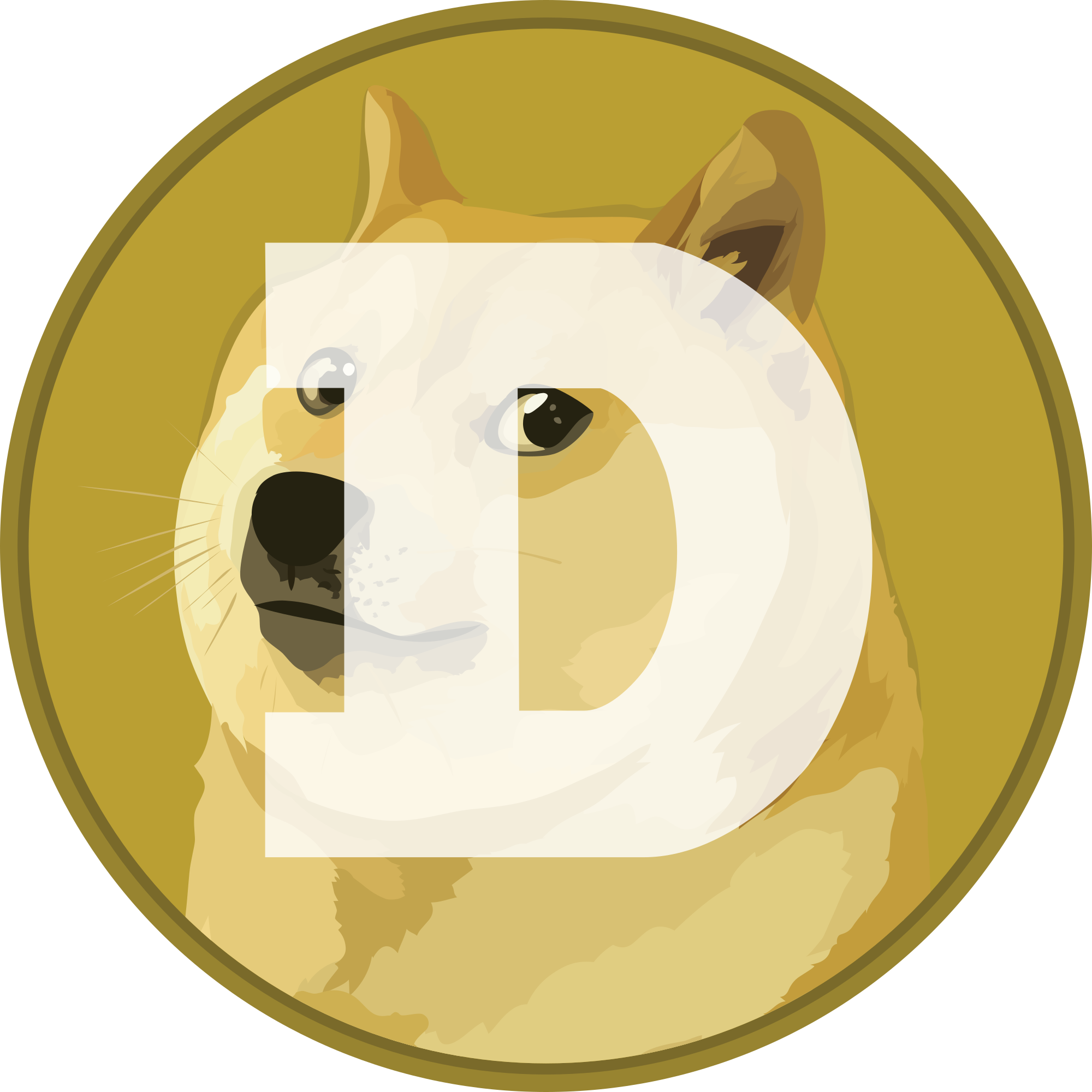 DOGE kaufen