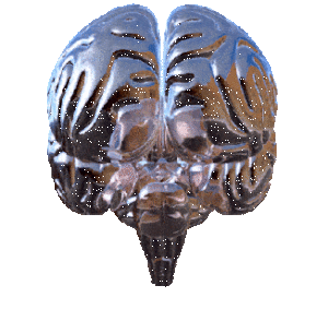 techmap_skull