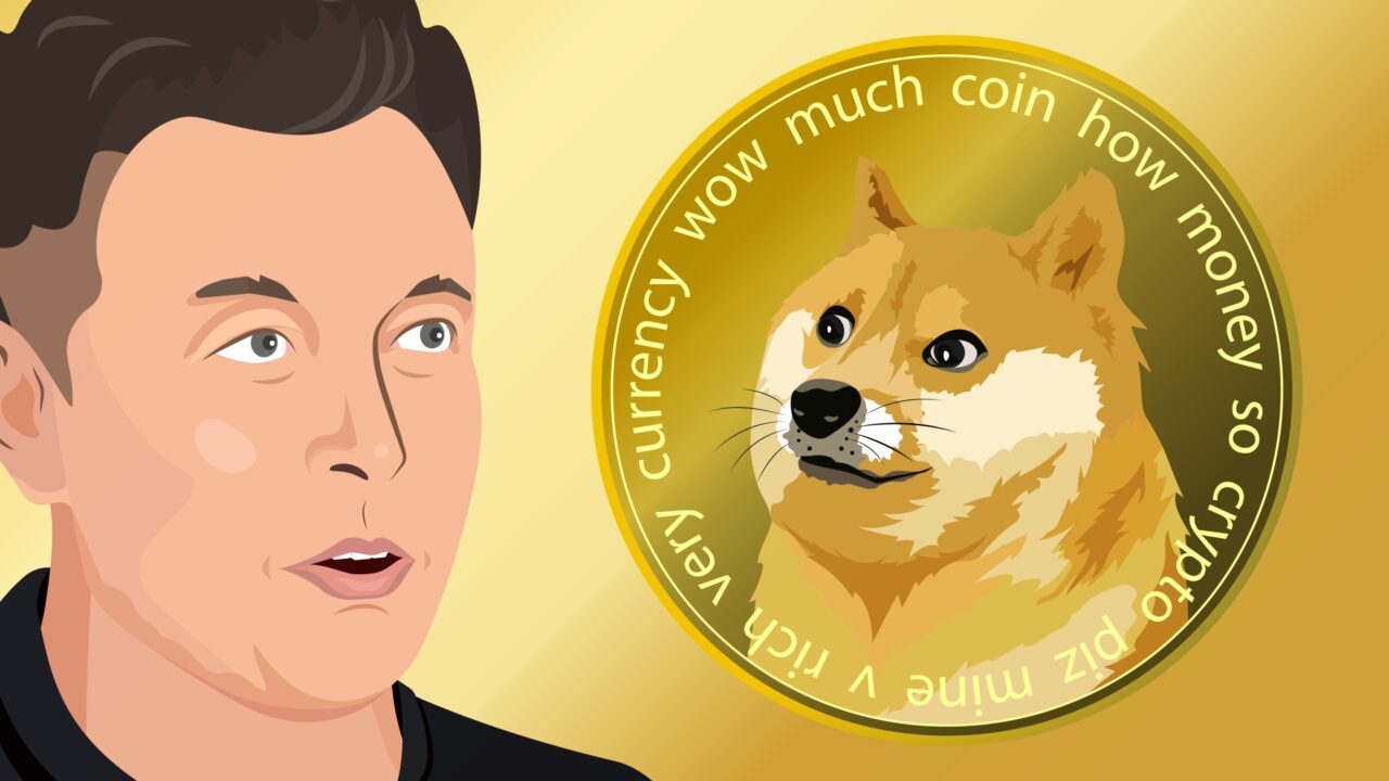 Elon doge hype