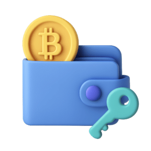 Was wird in einem Kryto Wallet Gespeichert