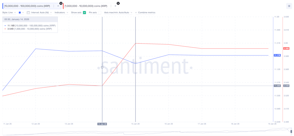 xrp whales