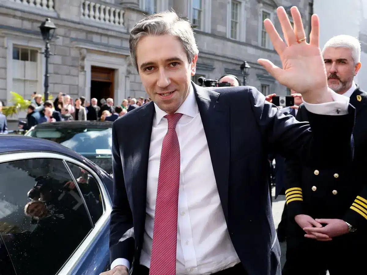Simon Harris waving to a crowd while standing next to a car in front of a stone building.